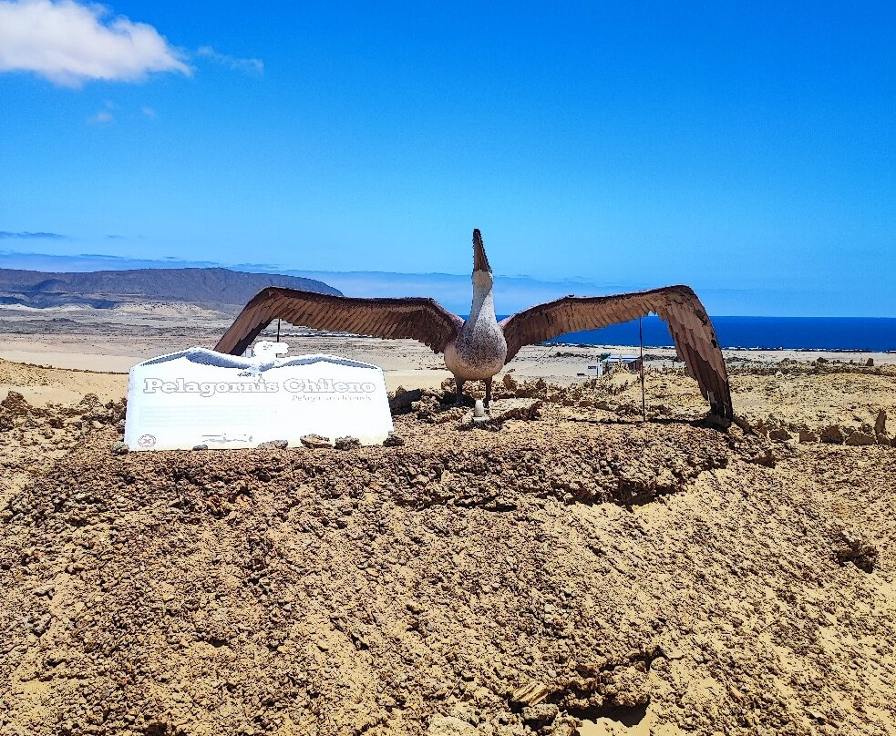 Parque Paleontologico De Caldera-Caldera必去景点