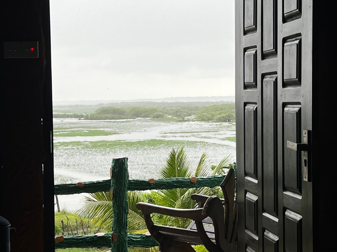 Bundala Flamingo Cottages主图