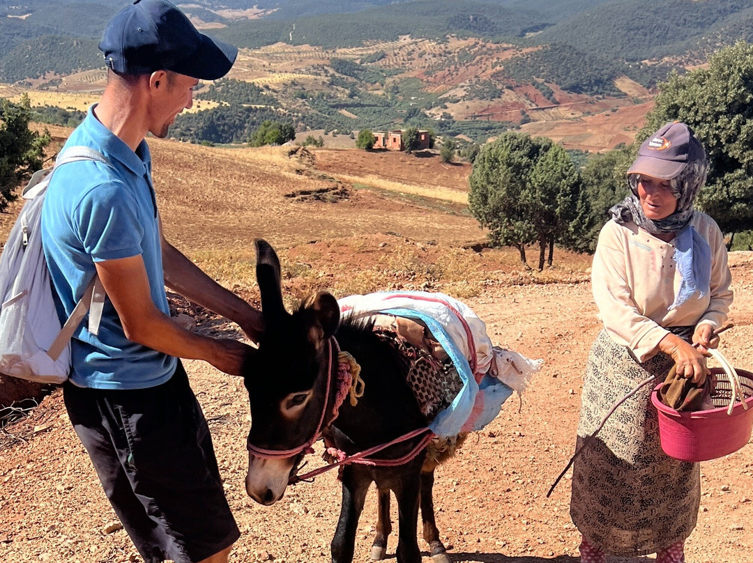 Gite Mrbie Activities