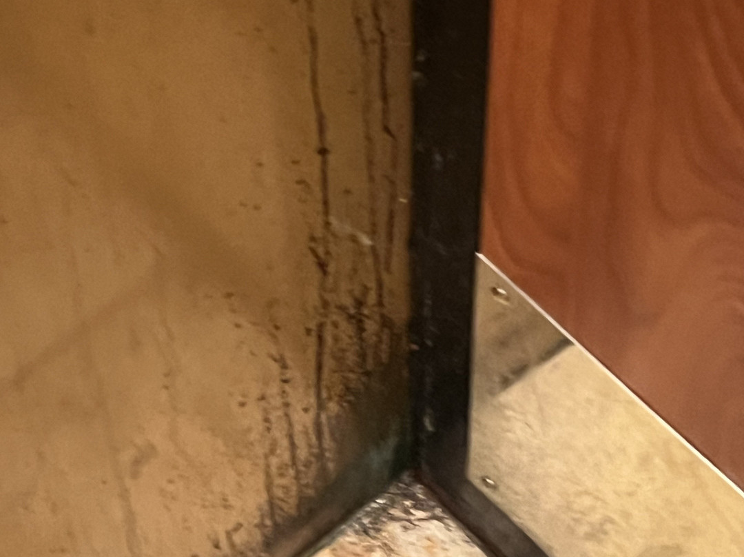 Staybridge Suites Allentown Bethlehem Airport by IHG主图