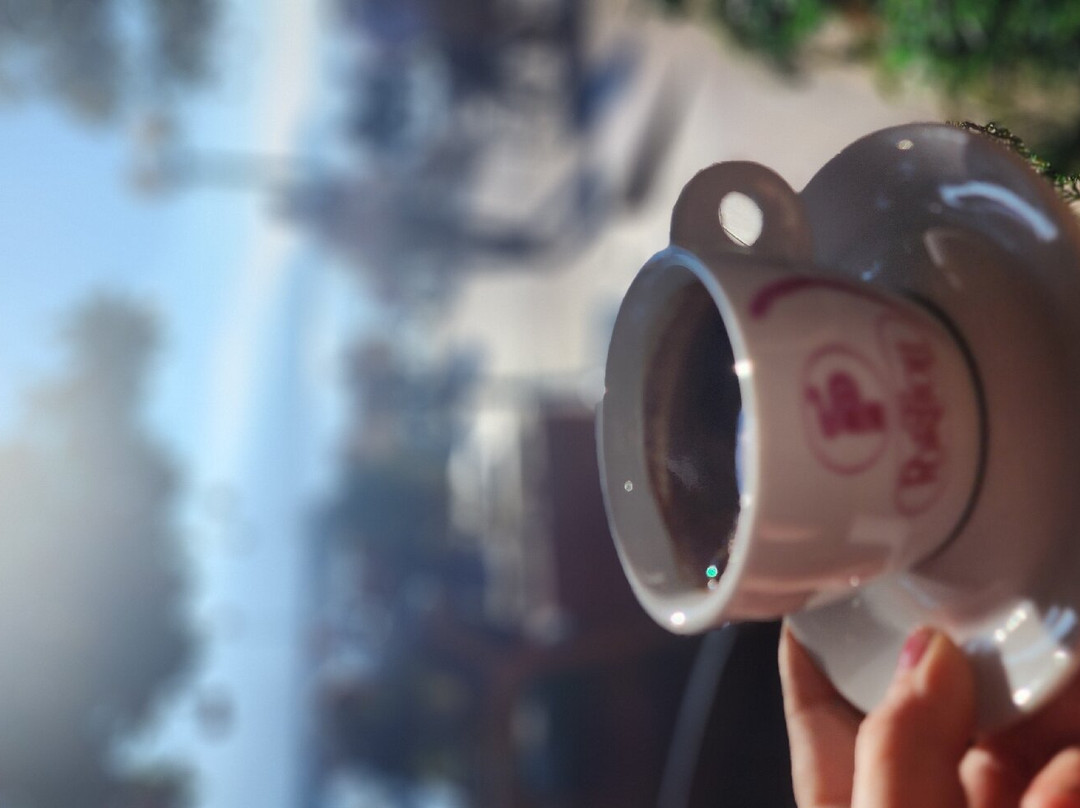 阿勒克桑德丽亚酒店主图