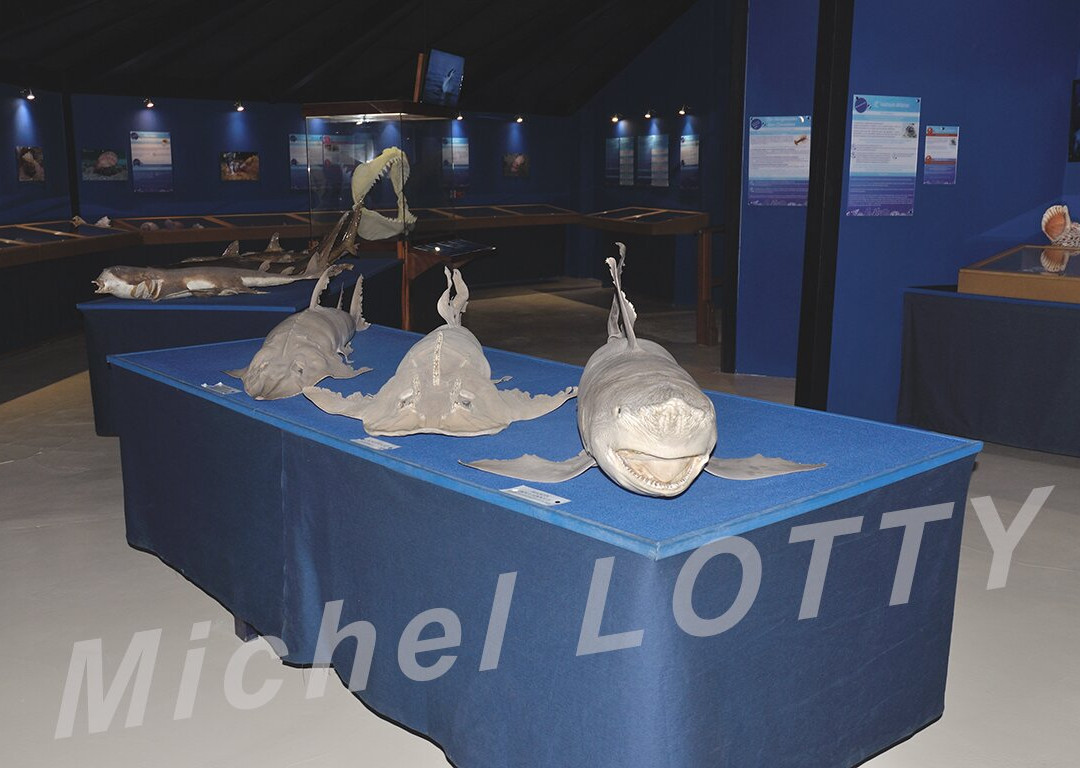 Le Musée de la Mer-Trois-Ilets必去景点