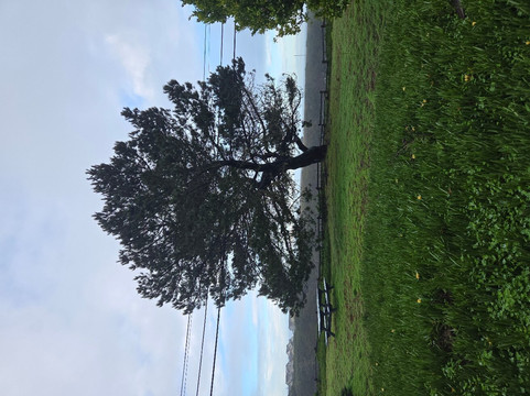 维斯塔贝斯特韦斯特庄园酒店主图