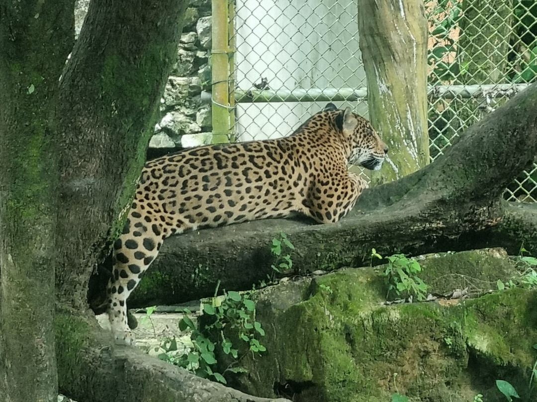 Aluxes Ecoparque-帕伦克必去景点