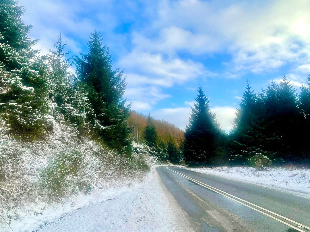 Durris Forest-Banchory必去景点