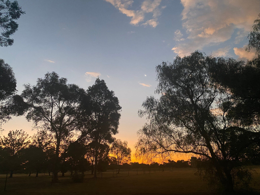 Castlereagh Motor Inn主图