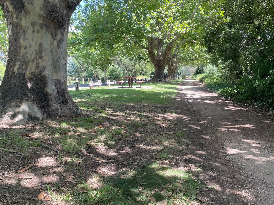 Mitchell river walk景点图片