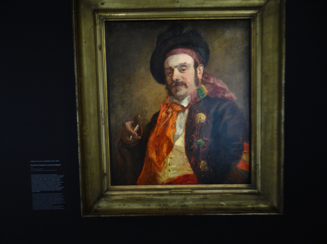 Musée D'art Moderne景点图片