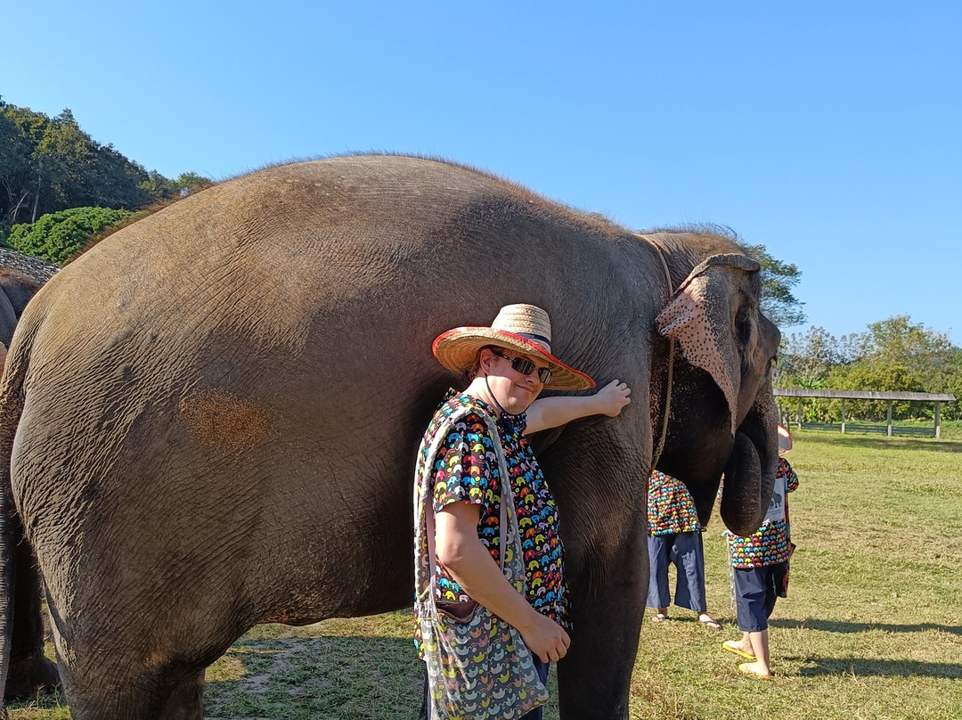 Eco Tours Chiang Mai-清迈必去景点