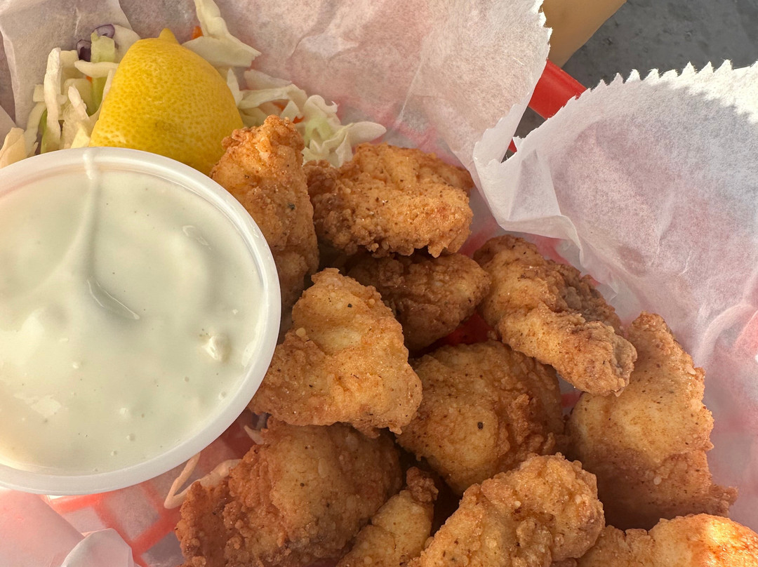 Lazy Dog Adventures-基韦斯特必去景点