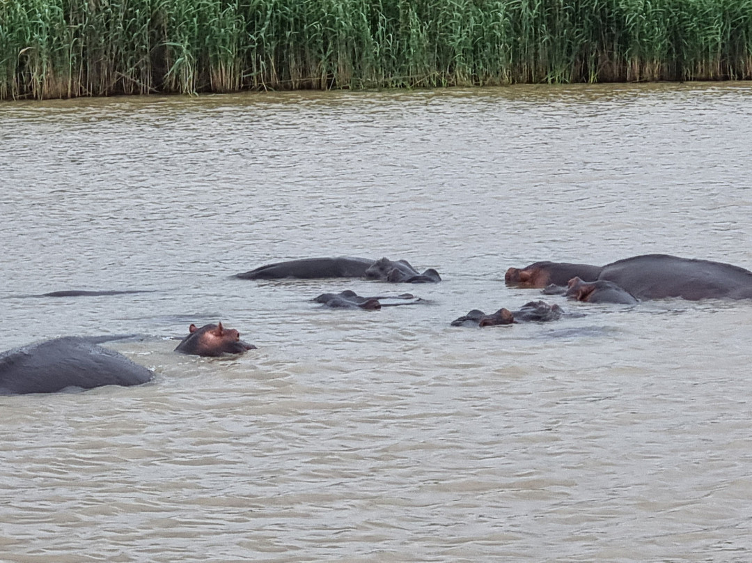 圣卢西亚湿地公园-圣露西亚必去景点