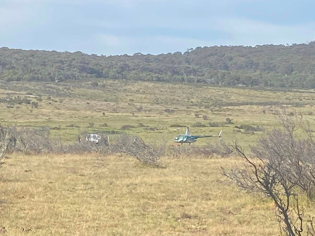 Snowy Range Horseback Tours-Heyfield必去景点