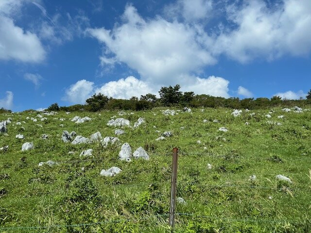 Shikoku Karst Tengu Plateau