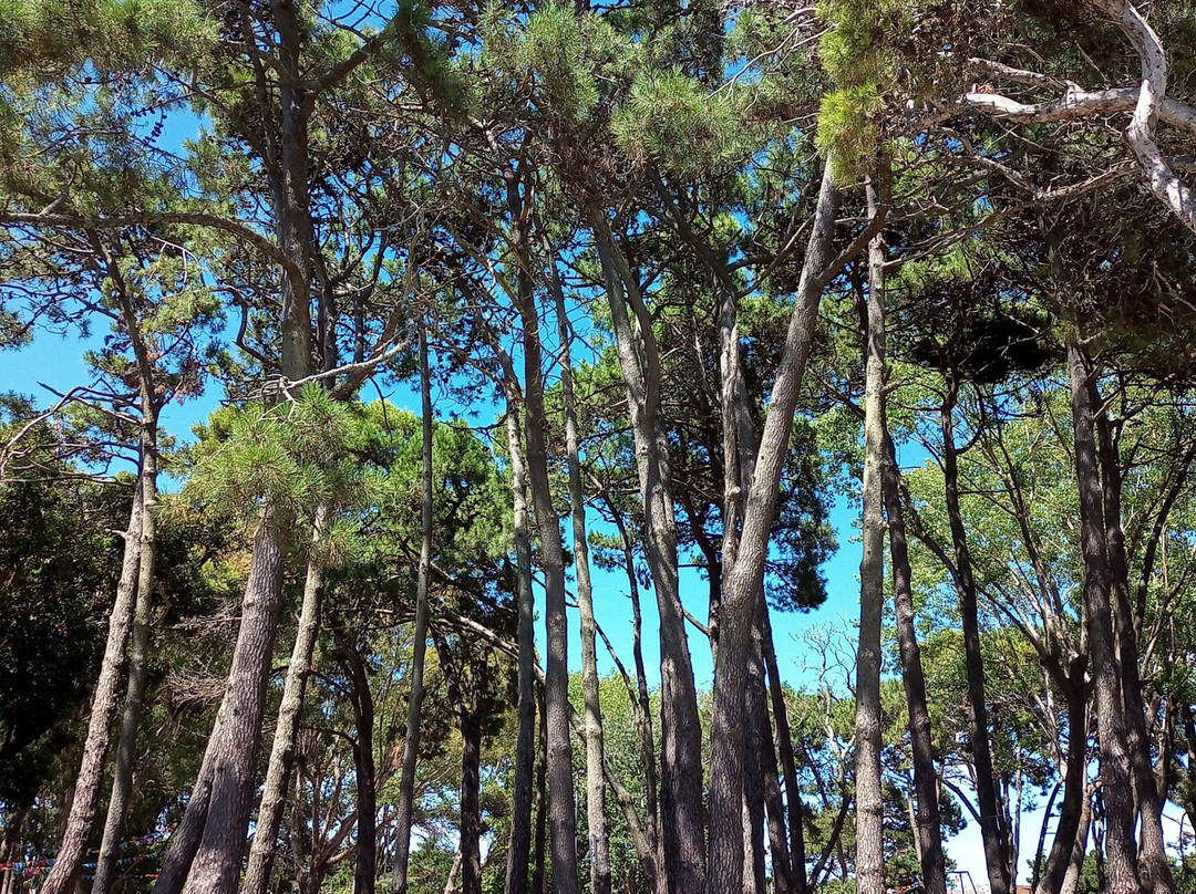 Plaza de la Familia-San Bernardo必去景点