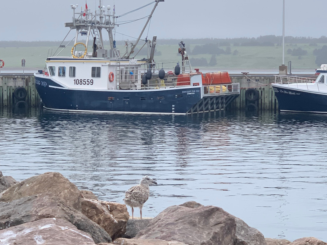 La Digue Suites主图