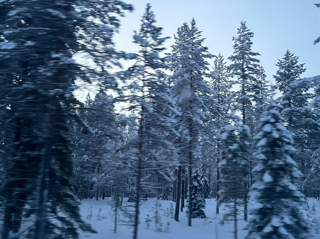 Korouoma Canyon-Posio必去景点