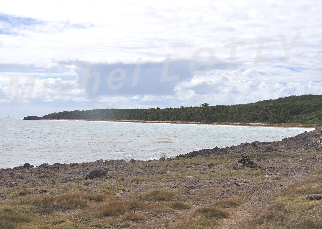 Domaine Du Grand Macabou-Le Marin必去景点