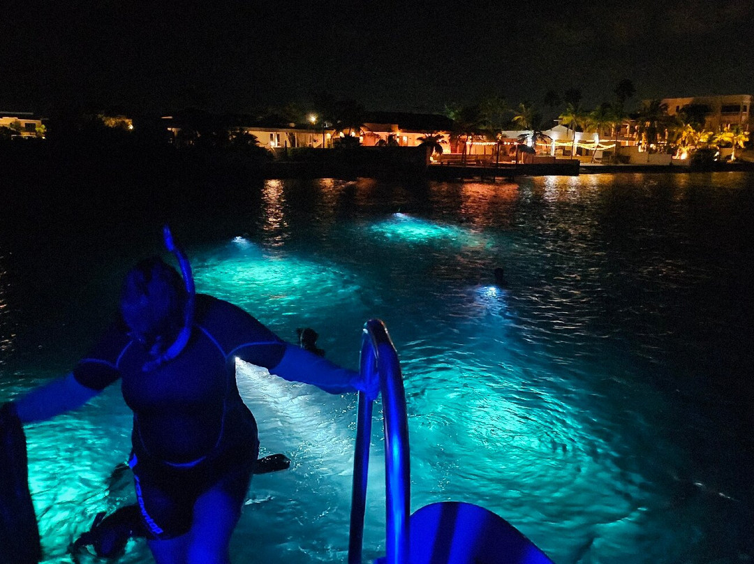 Sea Cow Snorkeling Bonaire-Kralendijk必去景点