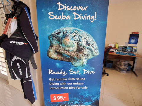 DiveFactory Bonaire-Kralendijk必去景点