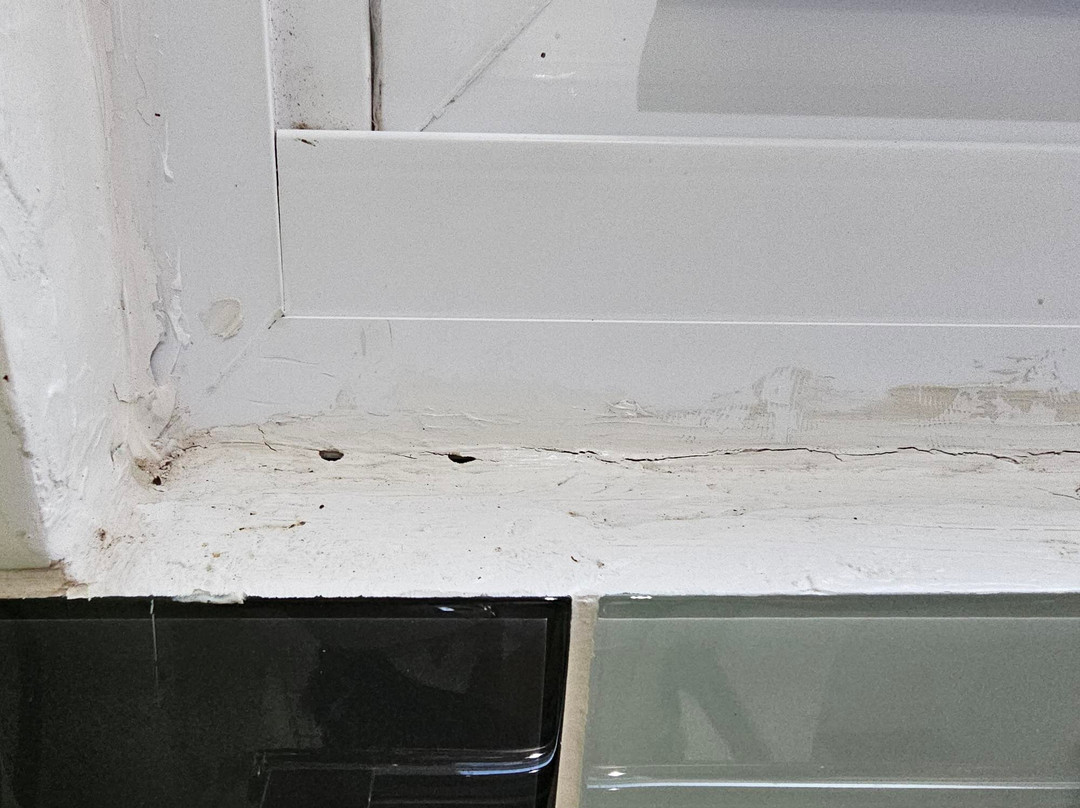 Sebastian's on the Beach主图