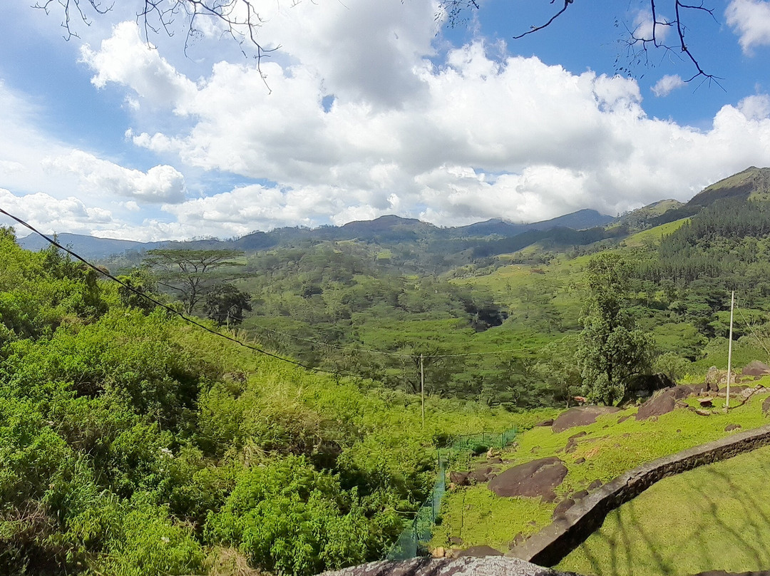 Knuckles Mansala主图