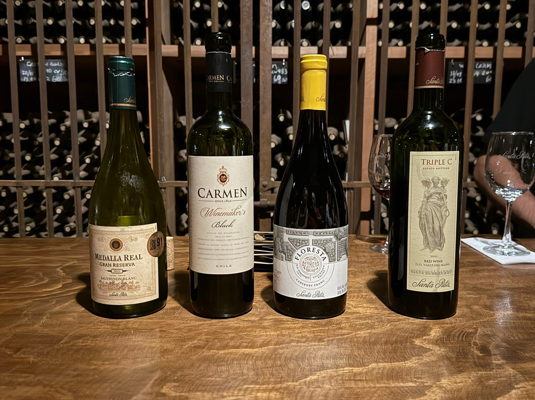 Bodega Wine Tours-圣地亚哥必去景点