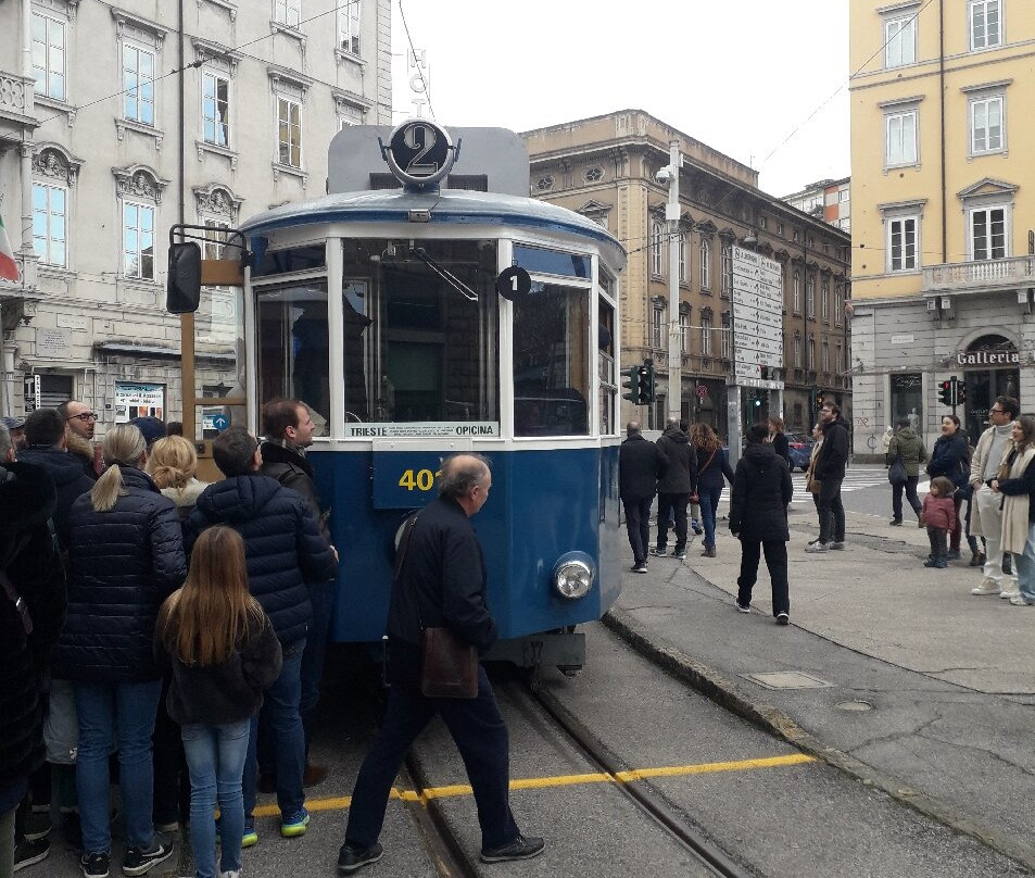 Tram de Opcina景点图片