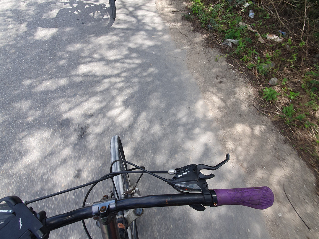 Ciclotour Aventuras Valladolid景点图片