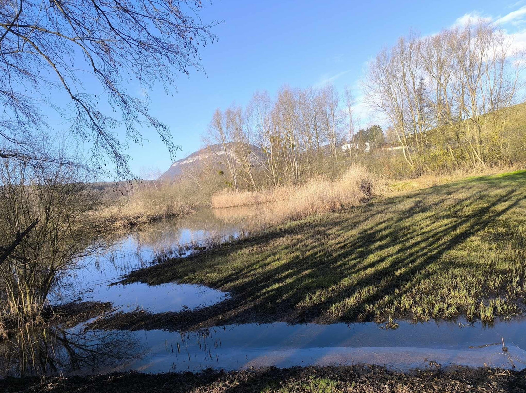 Marais De Poisy-macully景点图片