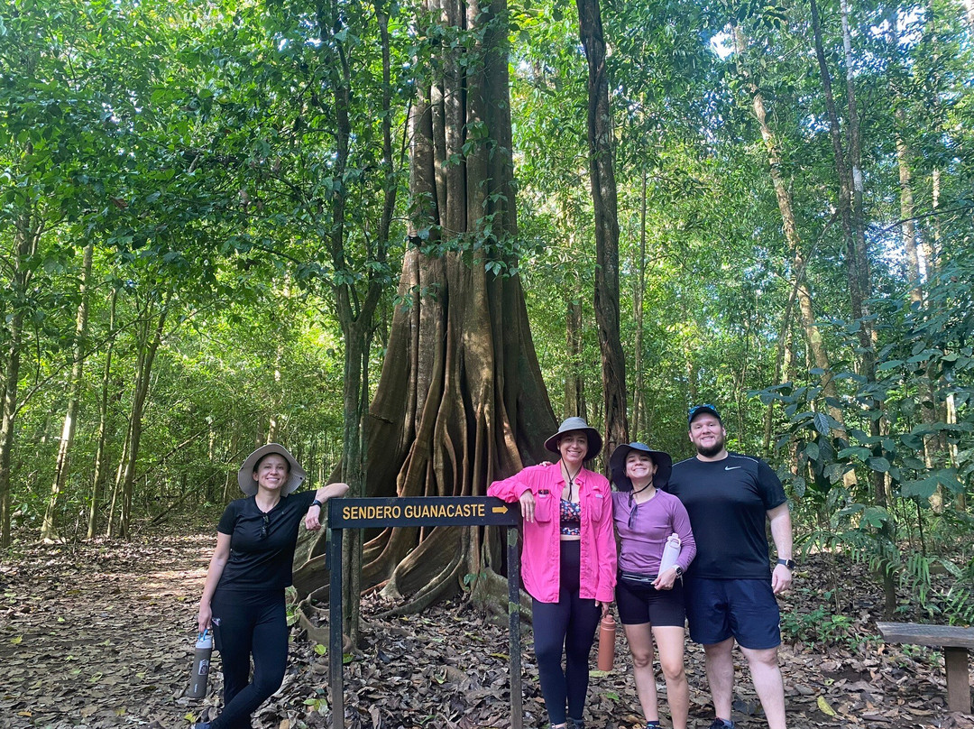 Rainforest Chronicles景点图片