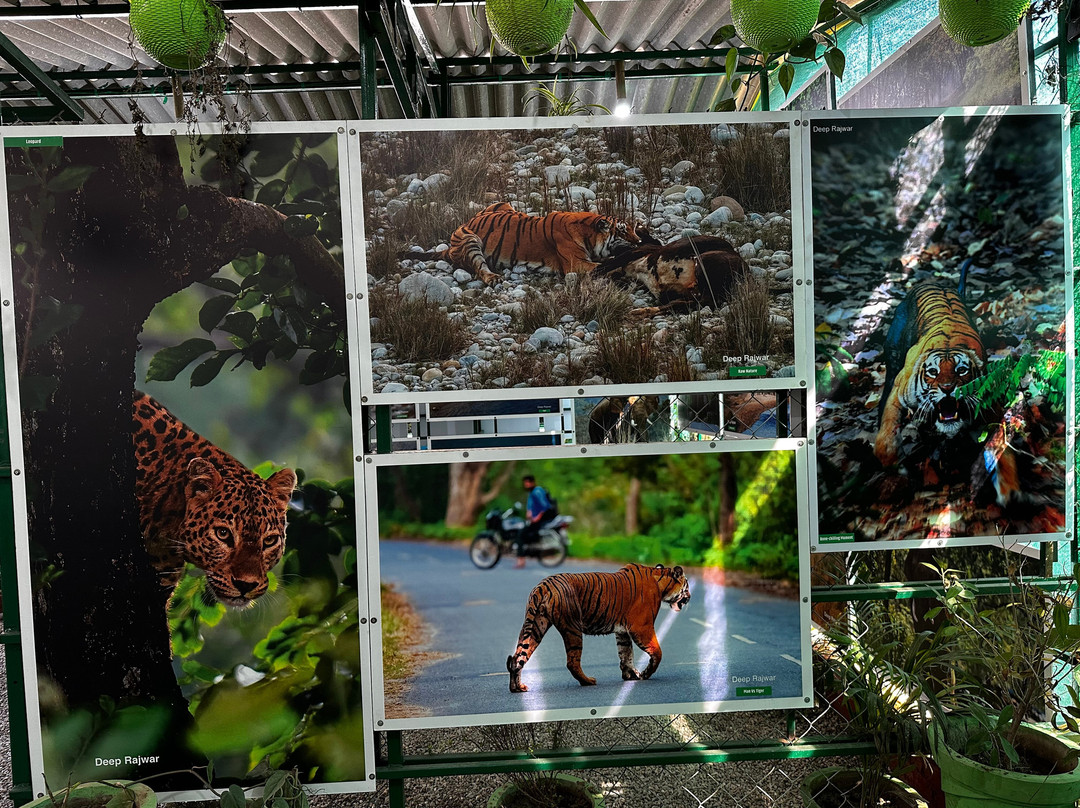 Wildlife Art Gallery景点图片