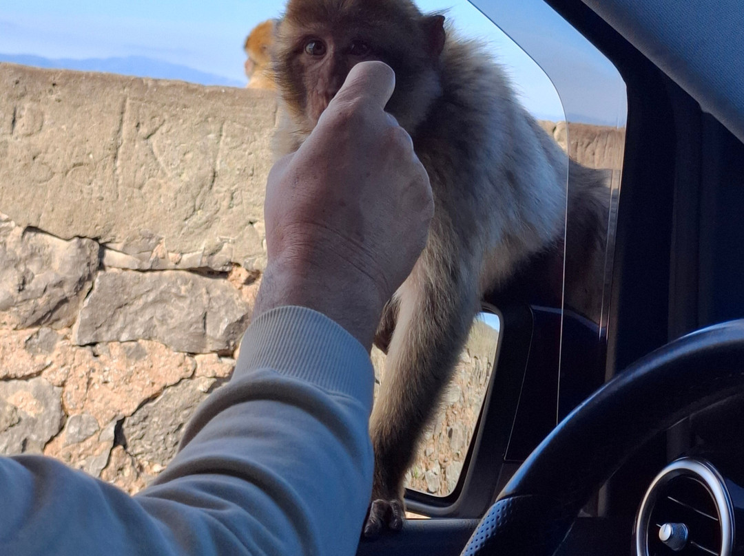 Gibraltar Rock Tours by John Lopez-直布罗陀必去景点