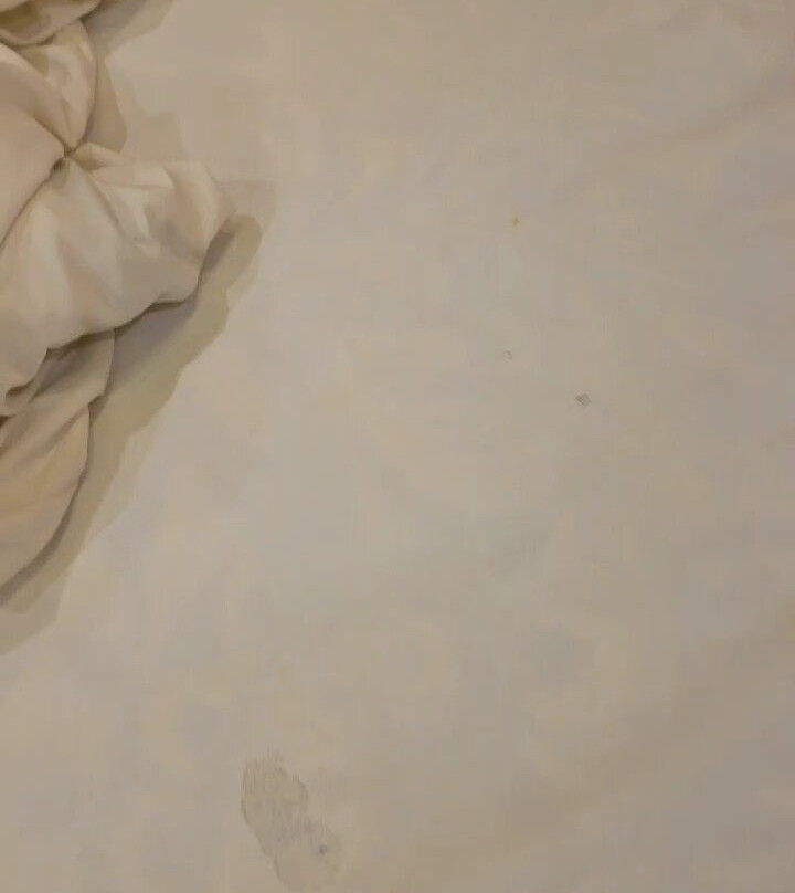 Nature's Dreamland主图