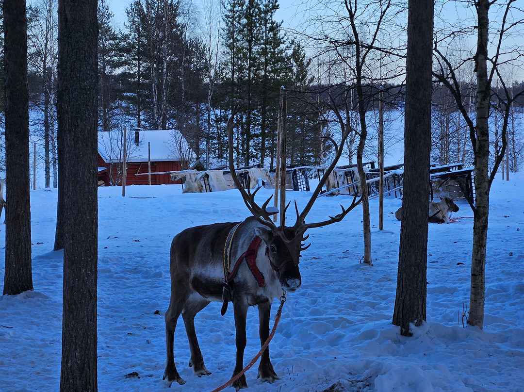 Sieriporo Safaris-罗瓦涅米必去景点