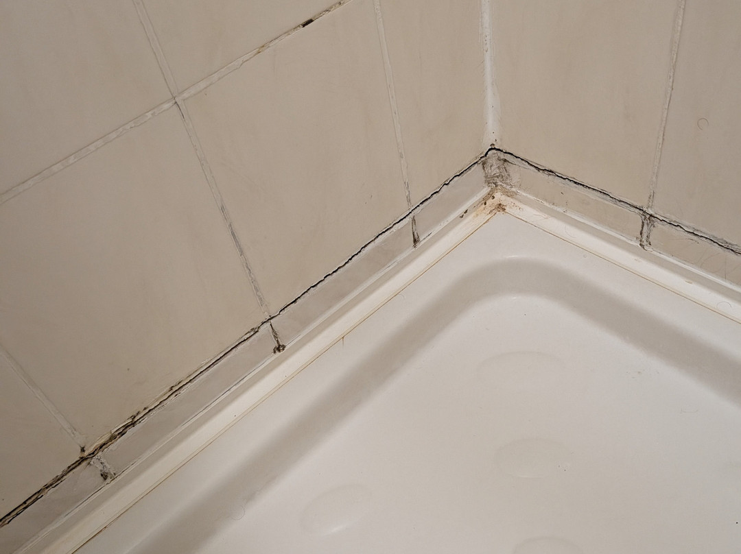 The Knoll Guesthouse主图