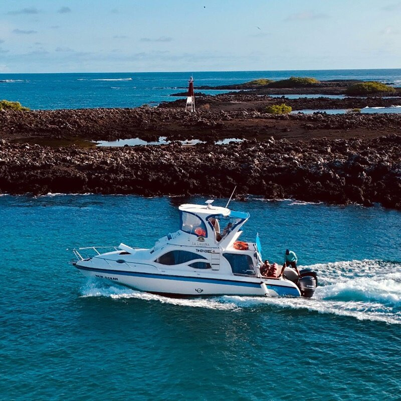 Ferry Galápagos - New Ocean-维里亚米尔港必去景点