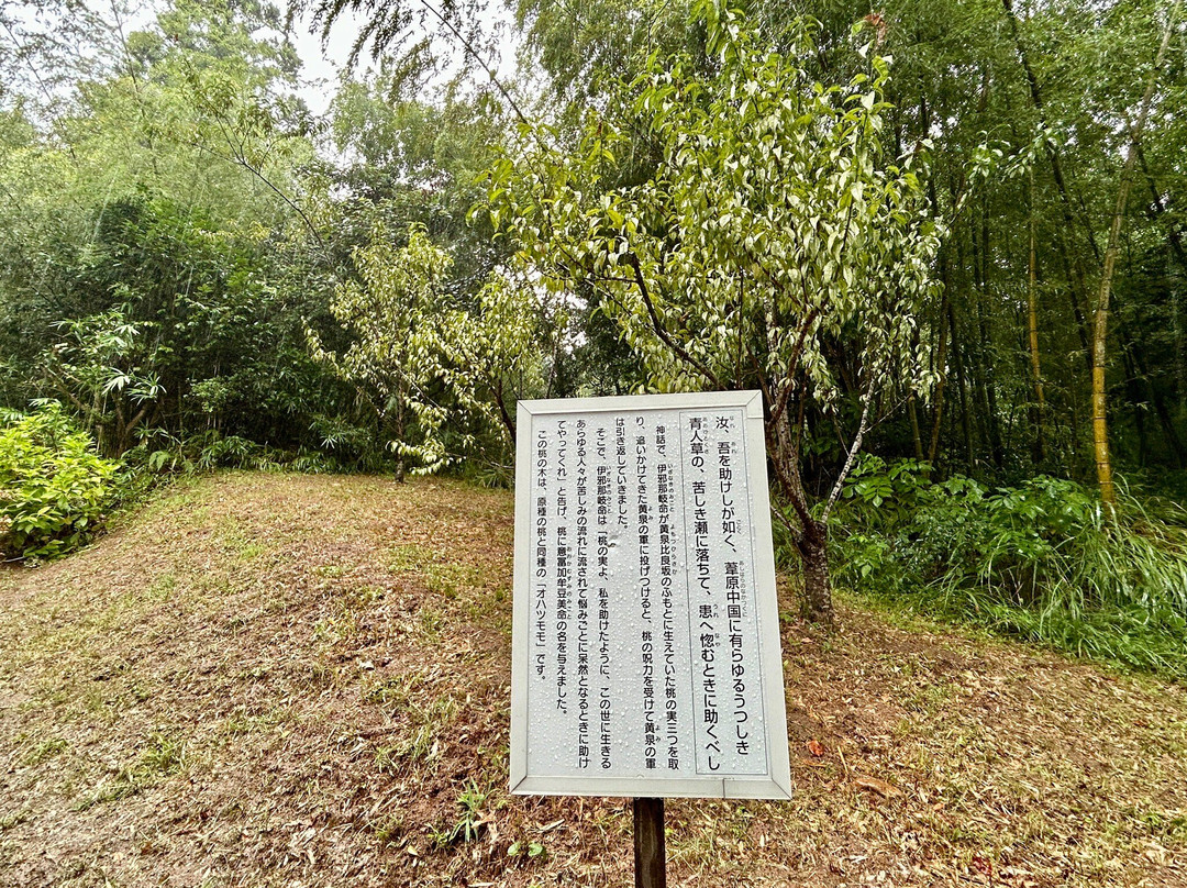 Yomotsu Hirasaka-松江市必去景点