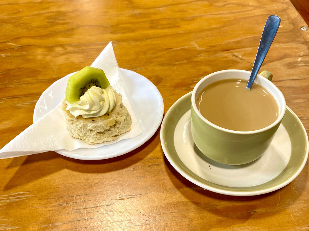 Kiwi Fruit Country Tours-陶兰加必去景点