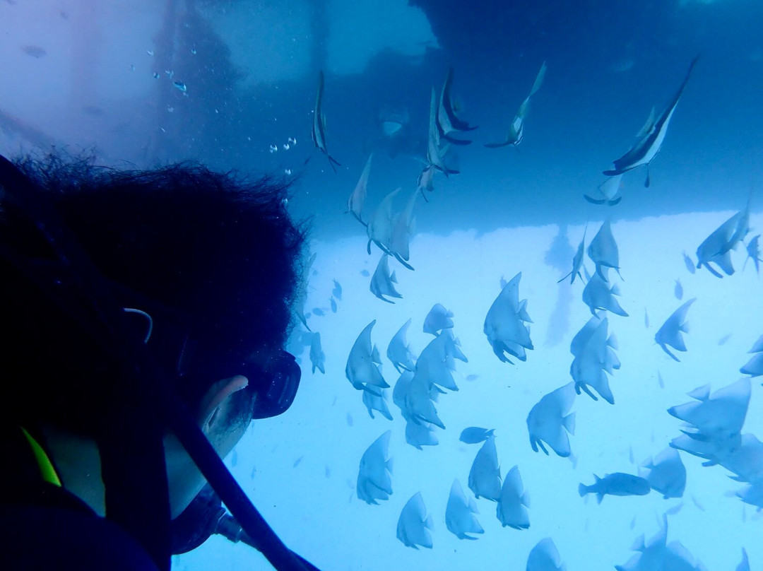 Jellyfish Divers Village-沙努尔必去景点