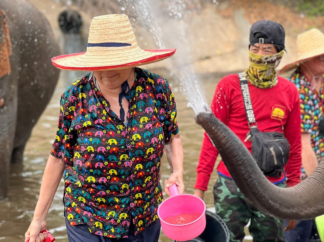 Kanta Elephant Sanctuary-清迈必去景点