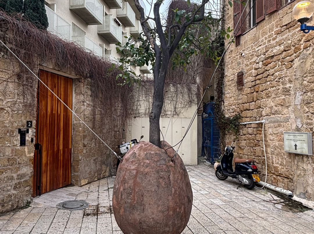 LET Travel-特拉维夫必去景点