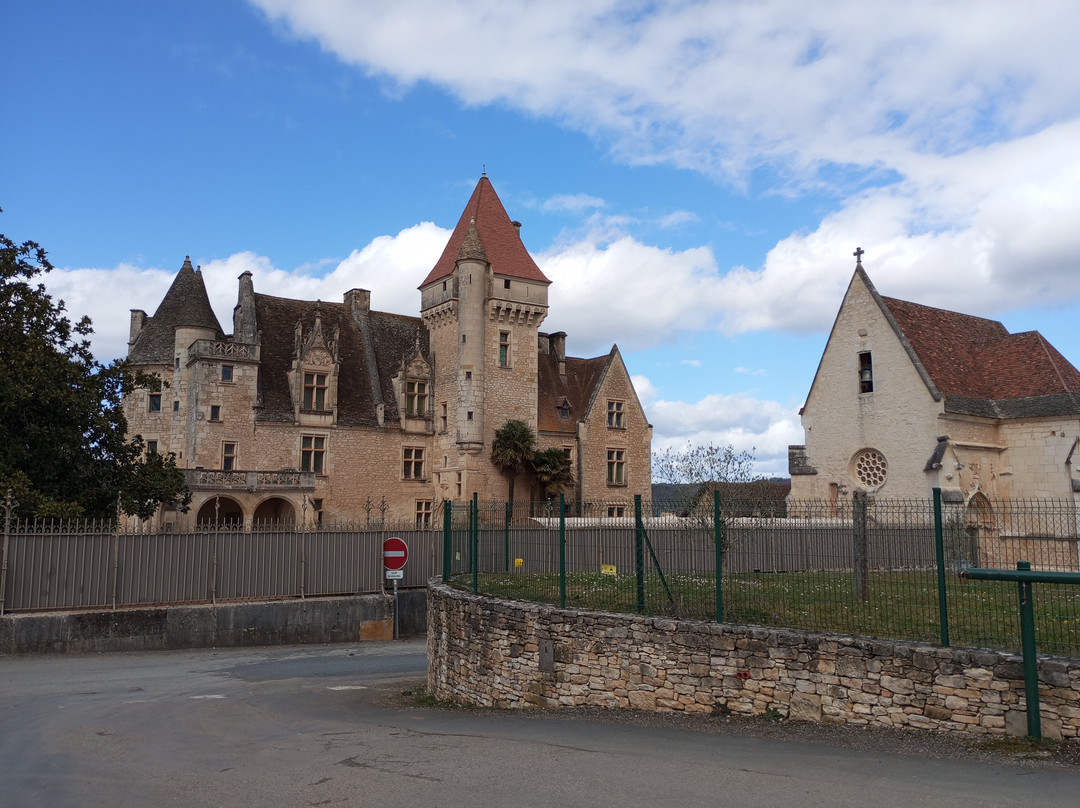 Château des Milandes景点图片