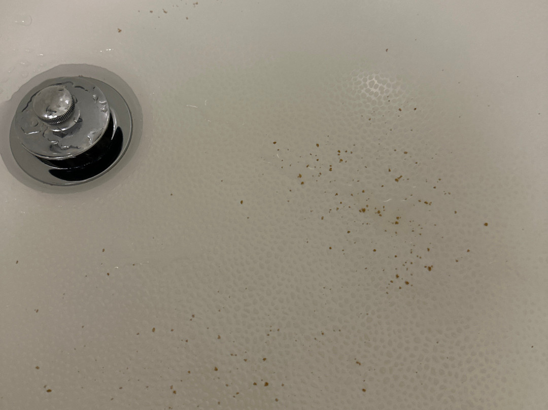 Hampton Inn Toledo/oregon主图