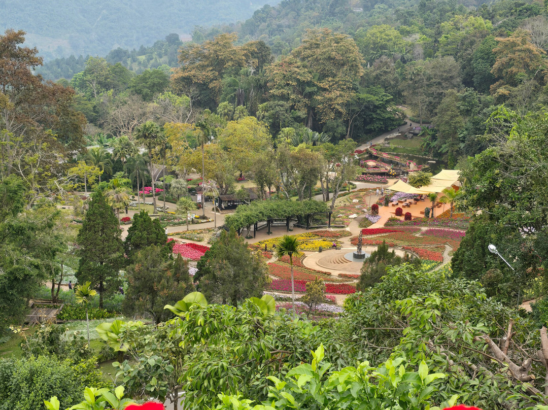 Doi Tung Palace-清莱必去景点