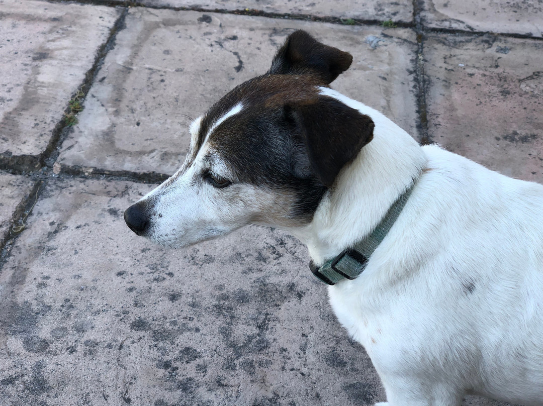 La Roche Guest House主图