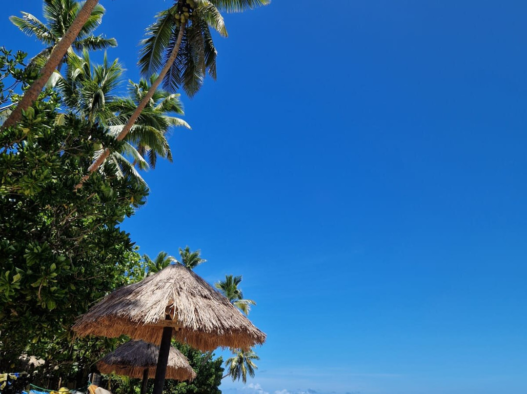 Likuri Island Resort Fiji主图