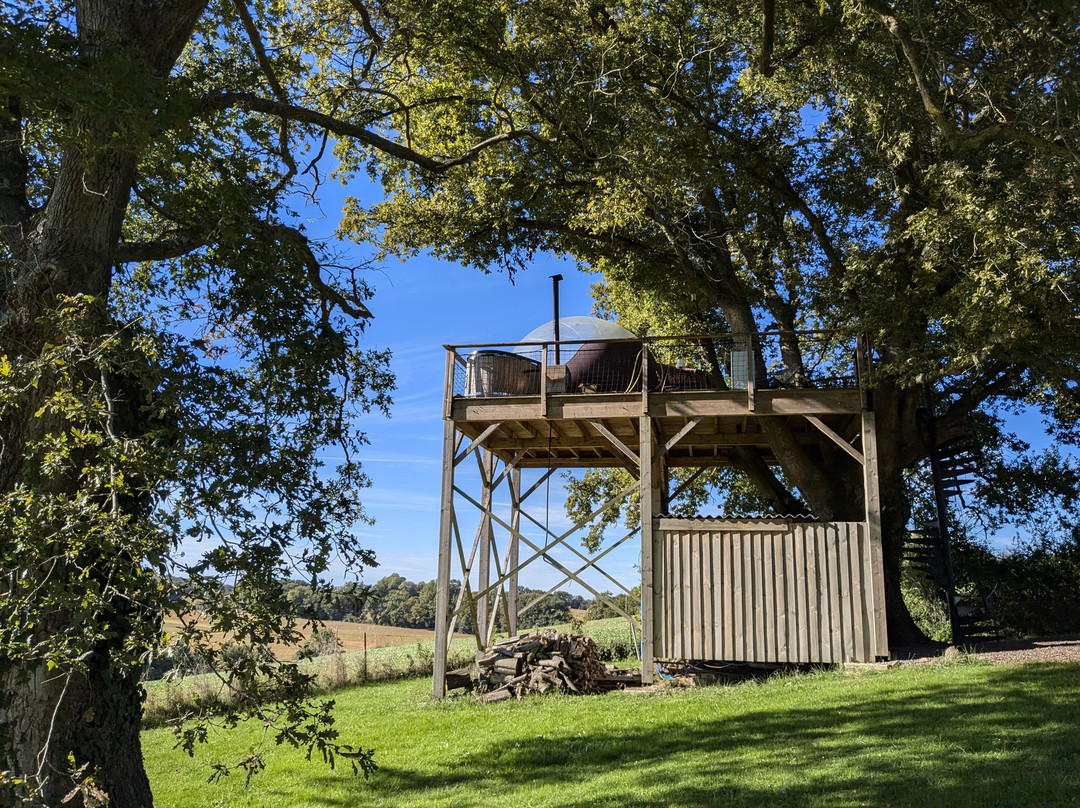 Les Bulles Perchées De Lartigue