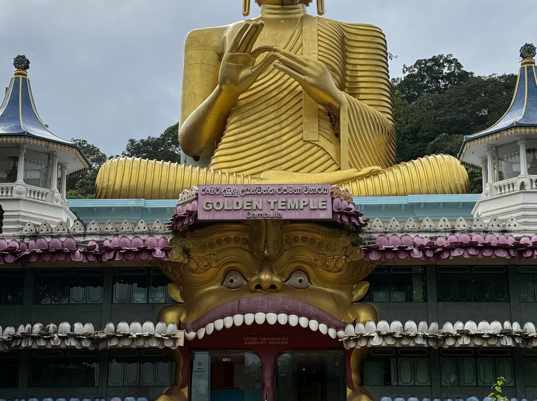 Daselanka Tours景点图片