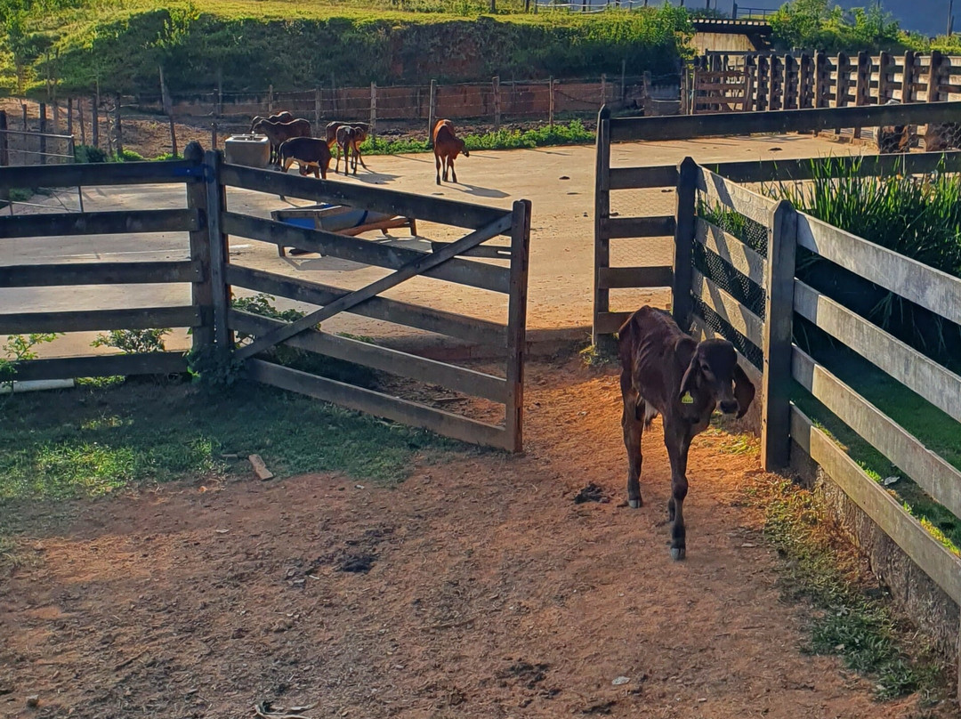Roca da Cidade Queijaria Artesanal-Sao Roque de Minas必去景点
