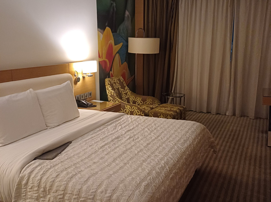 Le Méridien Cairo Airport主图